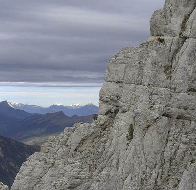Bouquetins au Mont-Aiguille (Sur les gradins de sortie de la Tour des Gémeaux).