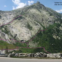 Grimsel - Gerstenegg : Azalée Beach, Donald Duck, Foxie, Crow et Dom