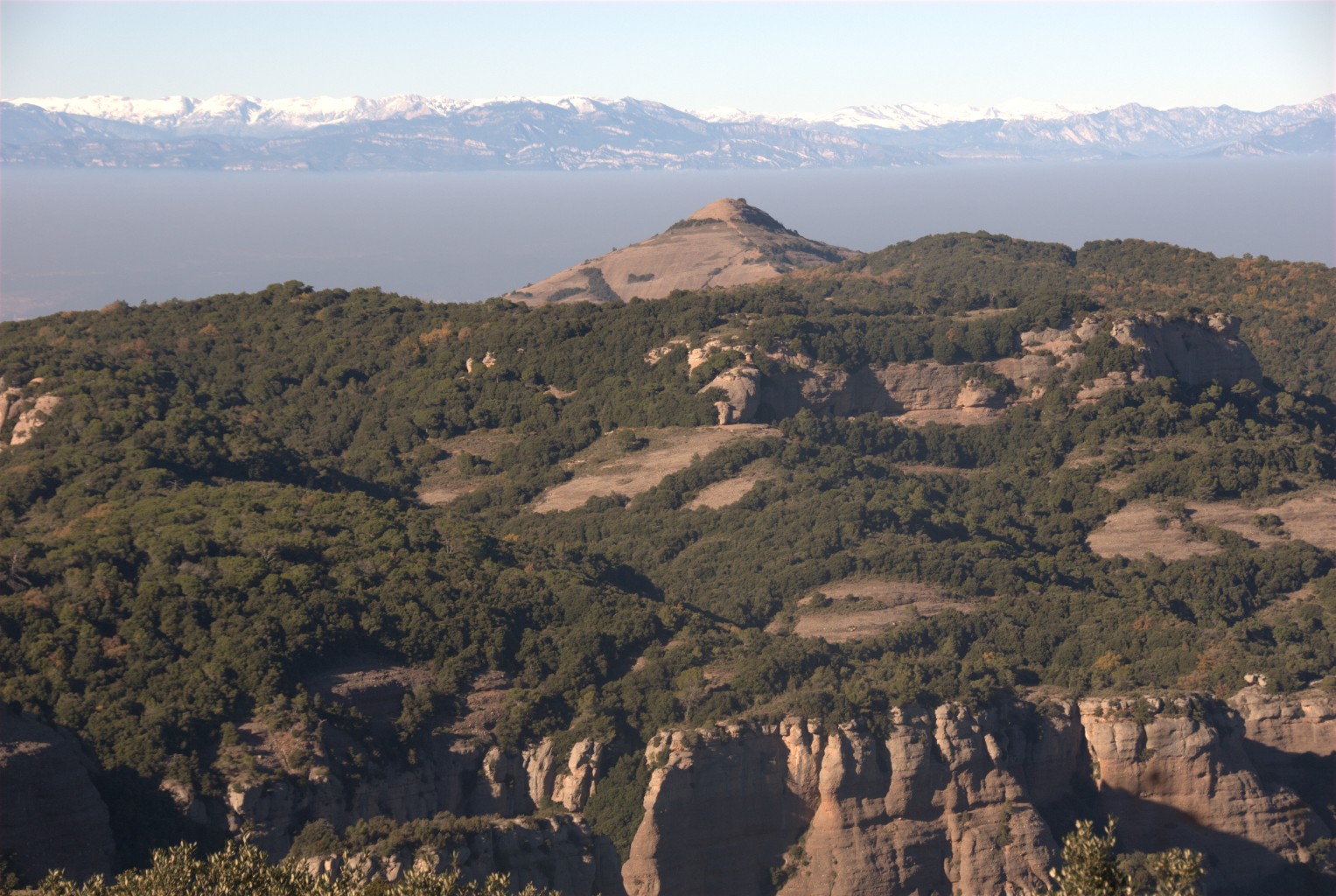El Montcau des de la Mola