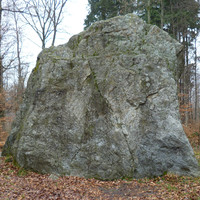 Face Sud