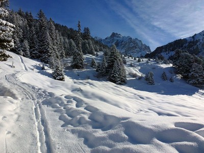 Vers le chalet/refuge du plan Vers le chalet/refuge du plan
