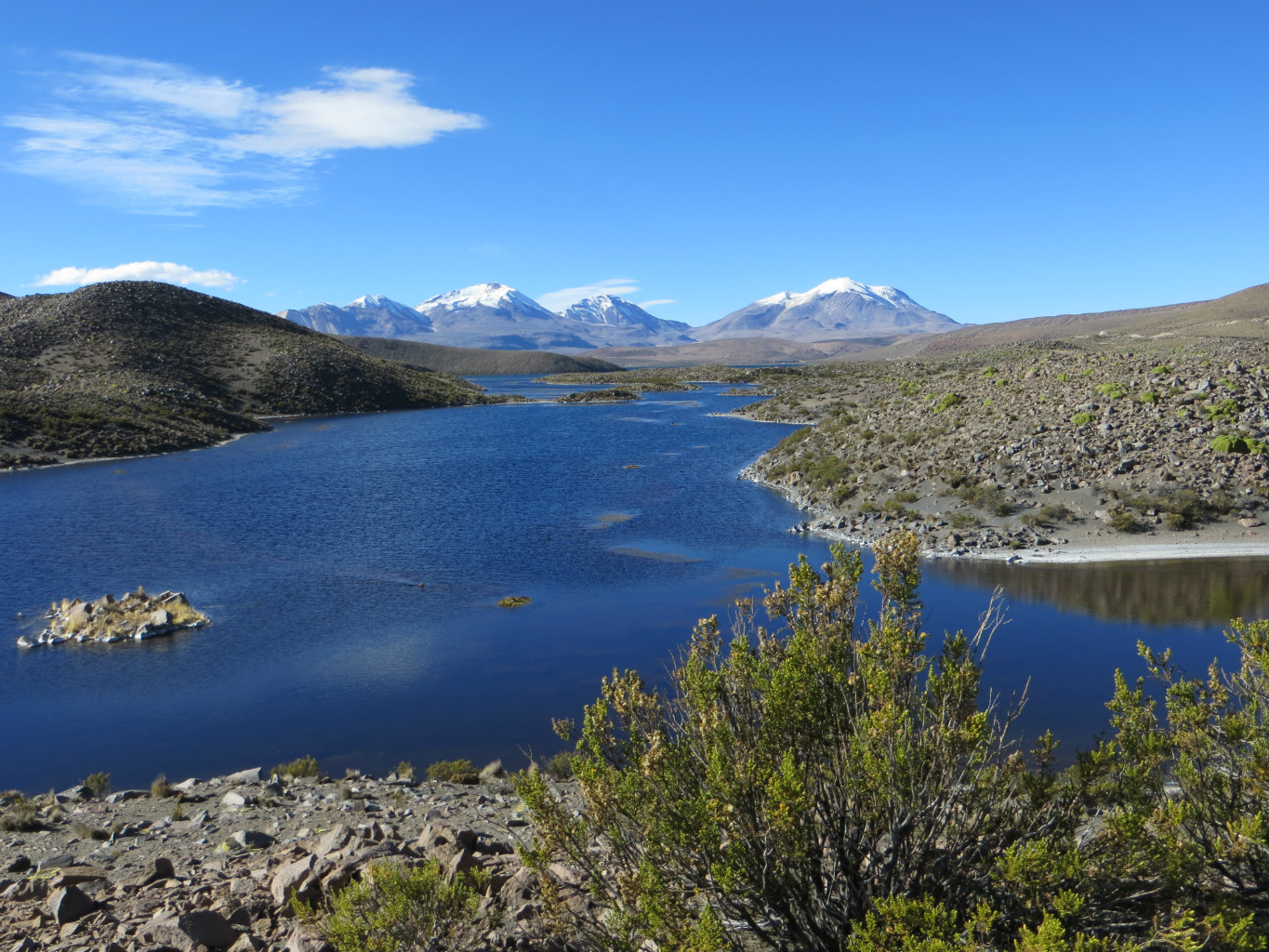lago chungara