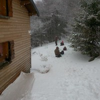 Premier bonhomme de neige