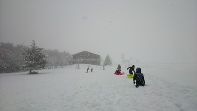 descentes en luge