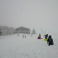 descentes en luge