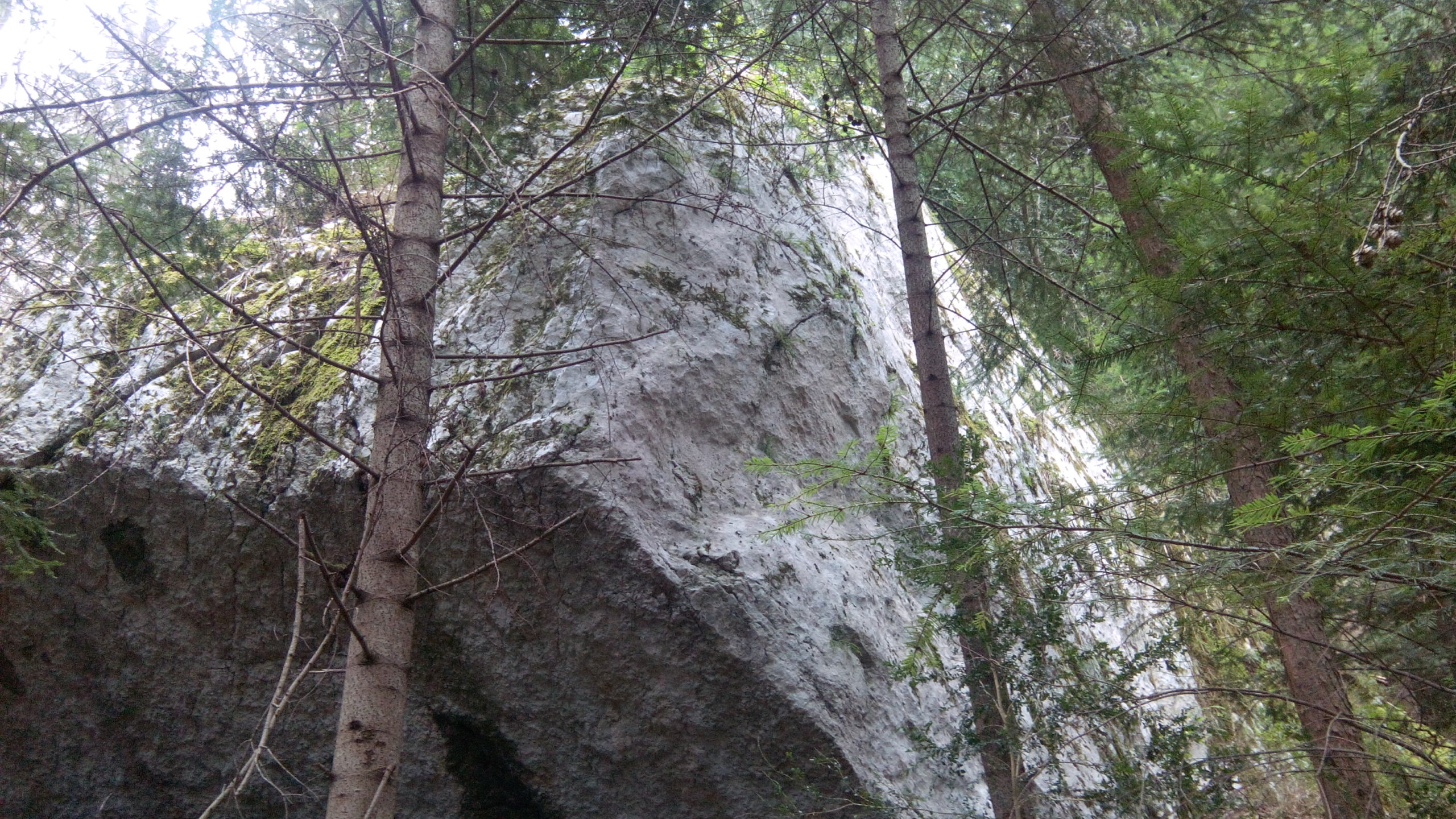 un des blocs