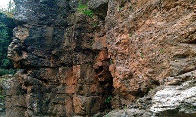 Roche Roche