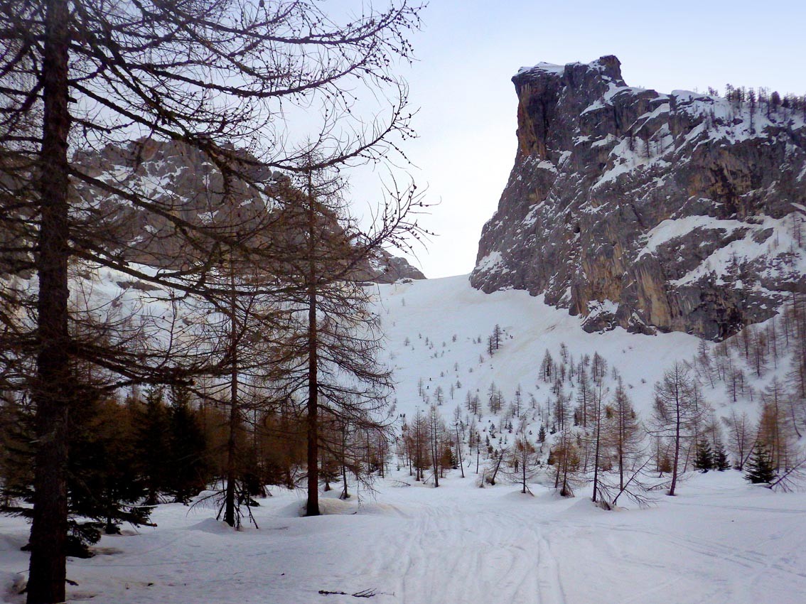 La parte finale del bosco