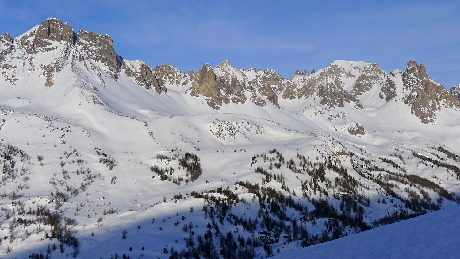 les cerces
