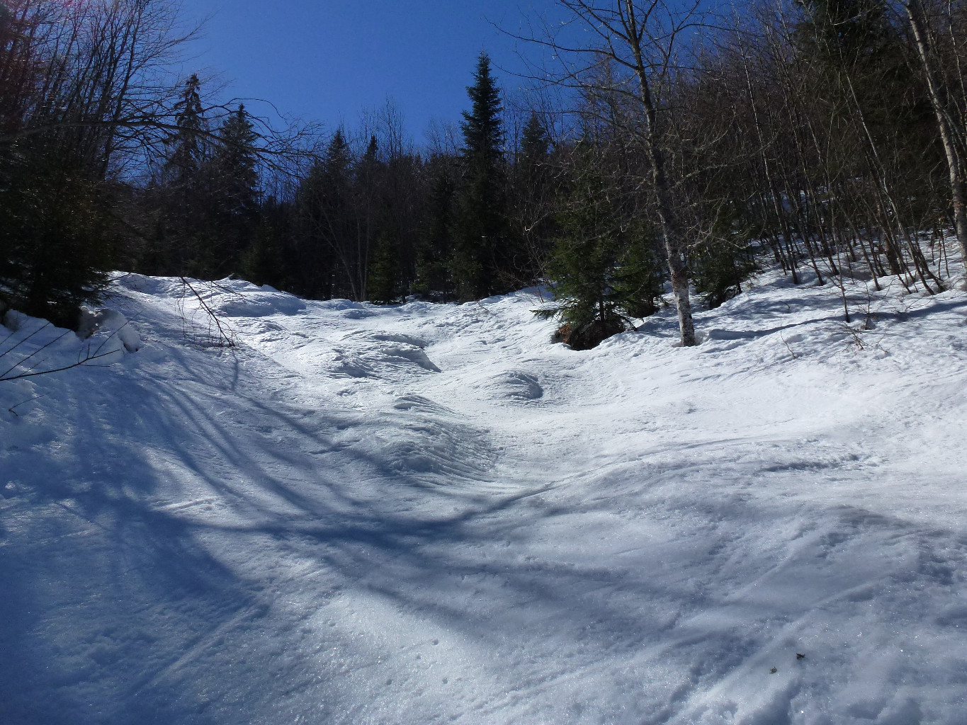 Boarder cross