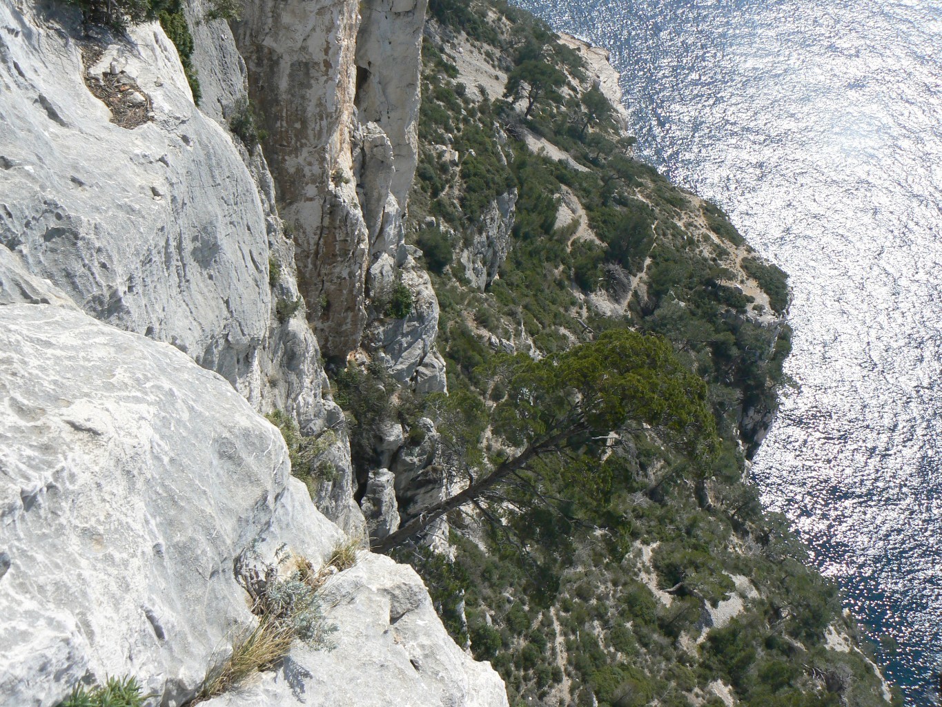 vue sur le bas de la voie