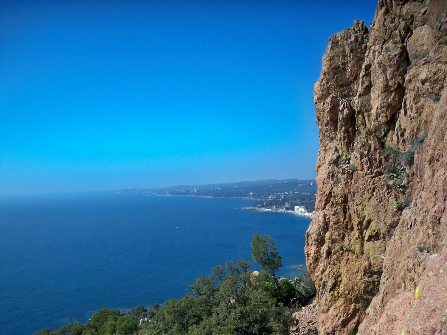 panorama