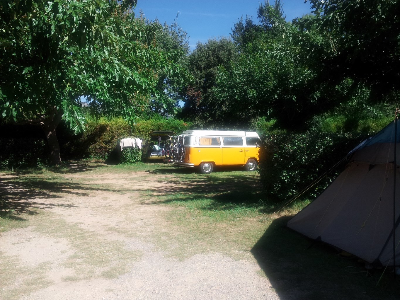 Combi