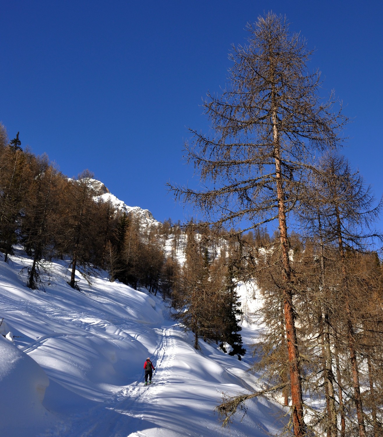 Montée de Selva à l'Alpe Cancian
