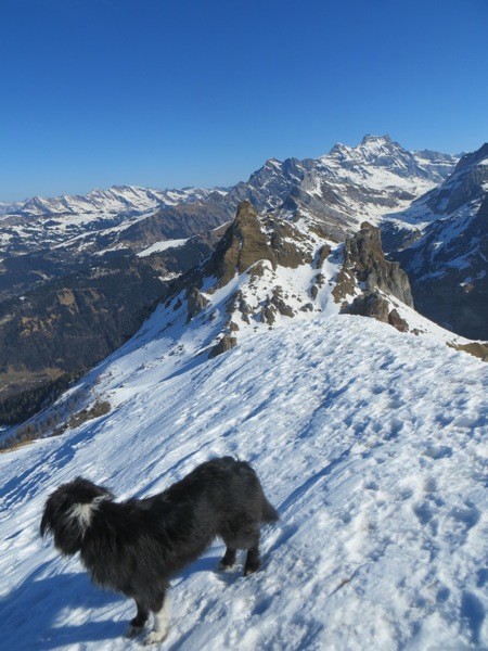 le top d'Euzanne 2325m