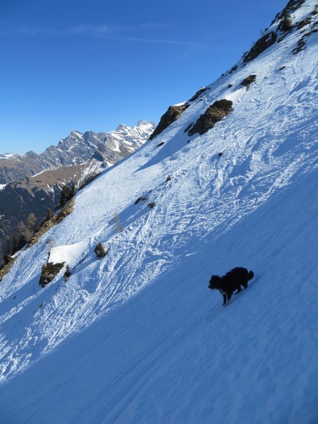 Savolaire la descente est bonne