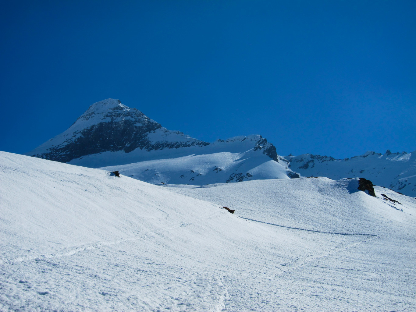 notre objectif du jour, le Bortelhorn