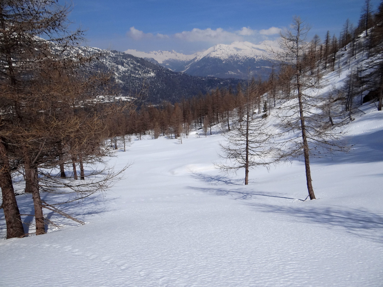 L'arrivée à l'alpage de Provence