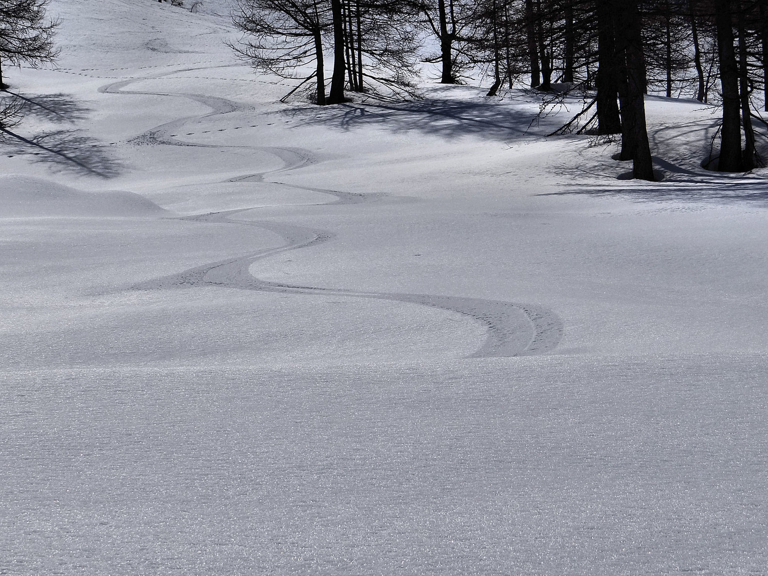 20 mars c'est ski de printemps