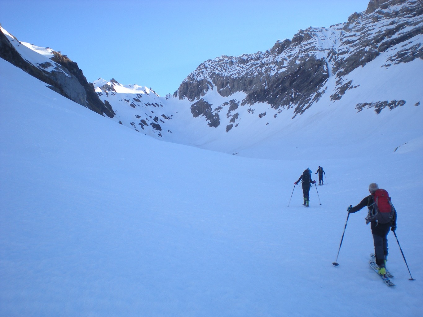 into the wild...