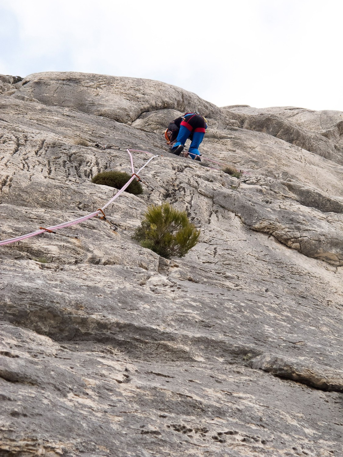 Patrick dans L2 (6c)