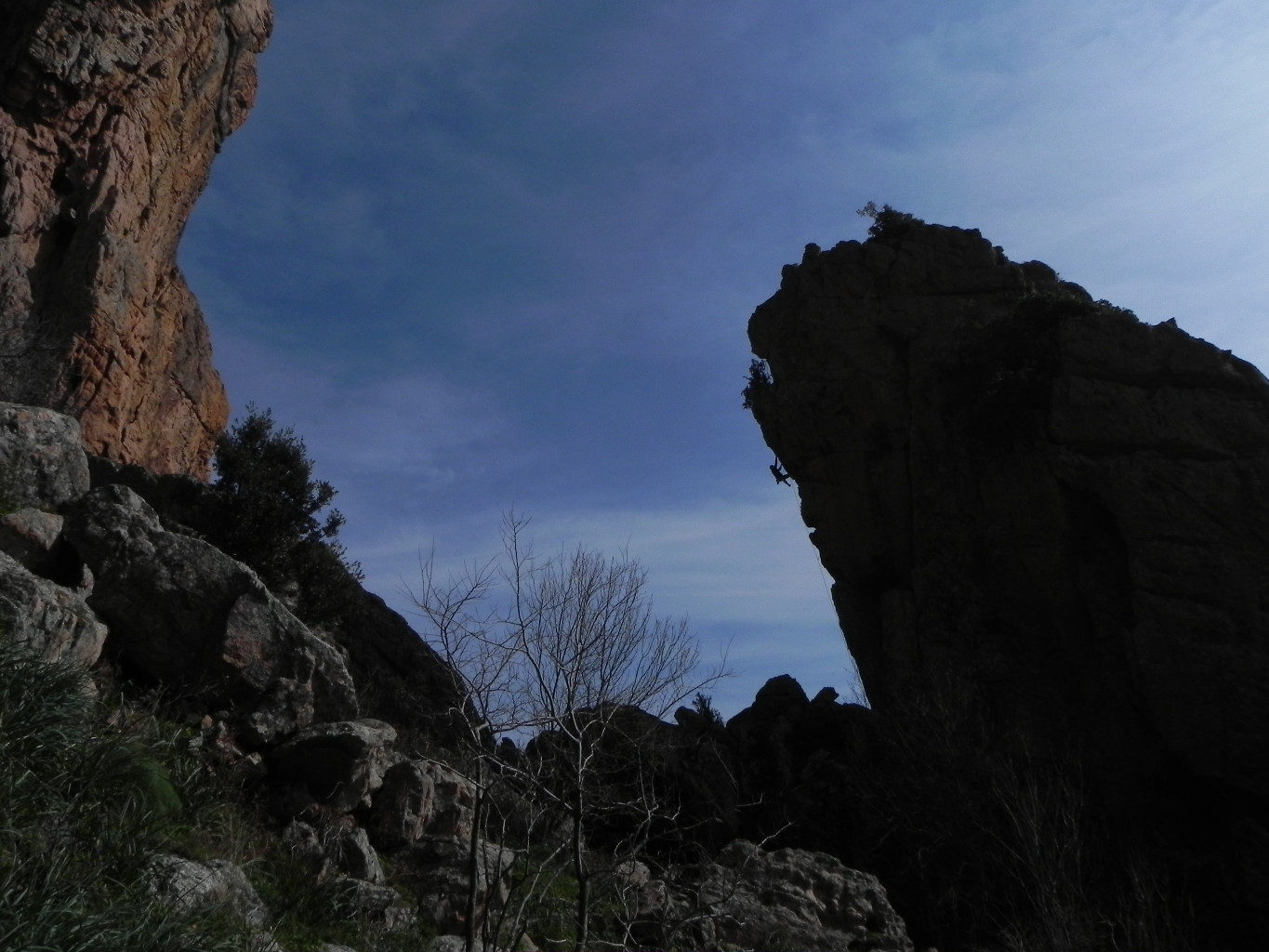 Gozzi - le profil de Saga Corsica (6c)