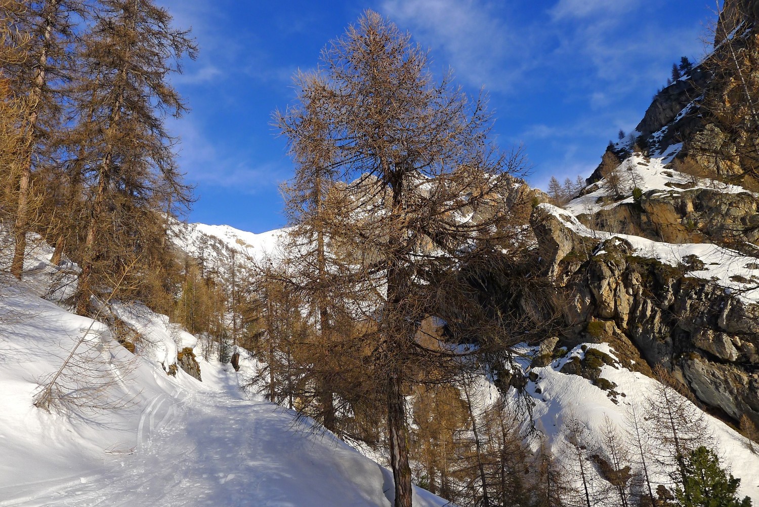 au fond le vallon nous attend