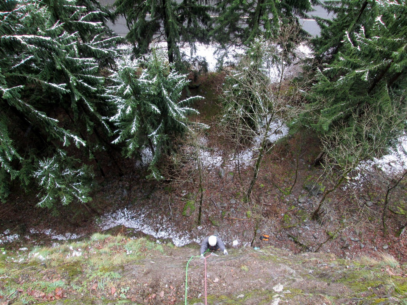Fin de L1, un peu arboricole