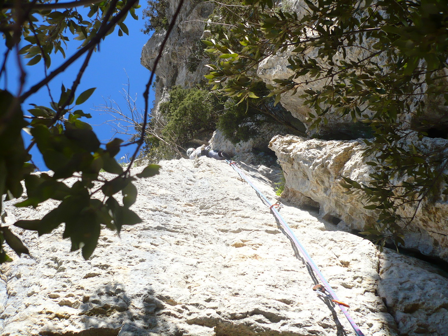 Dans L2