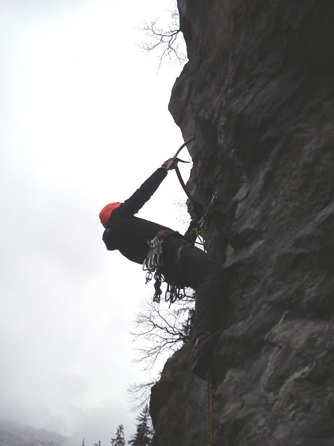 crux de dry'm