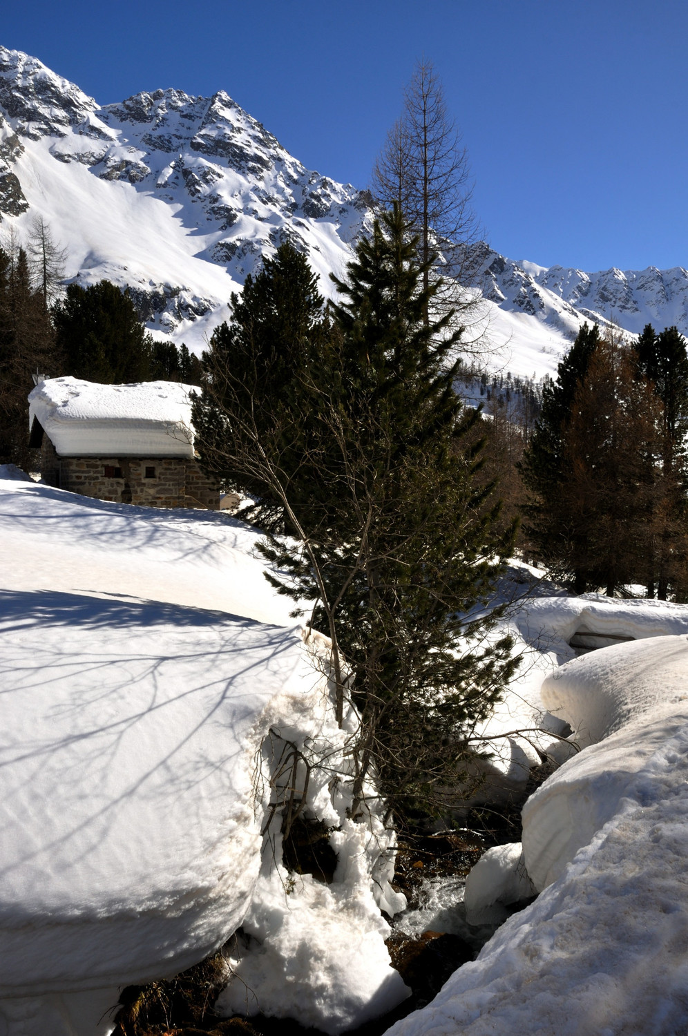 Val da Camp, descente du refuge Saoseo