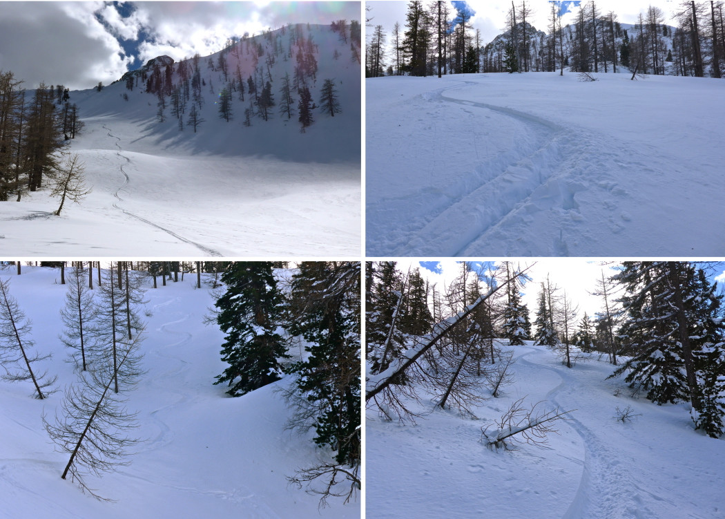 Neige de cinéma comme d'habitude à la Pte des Adus.