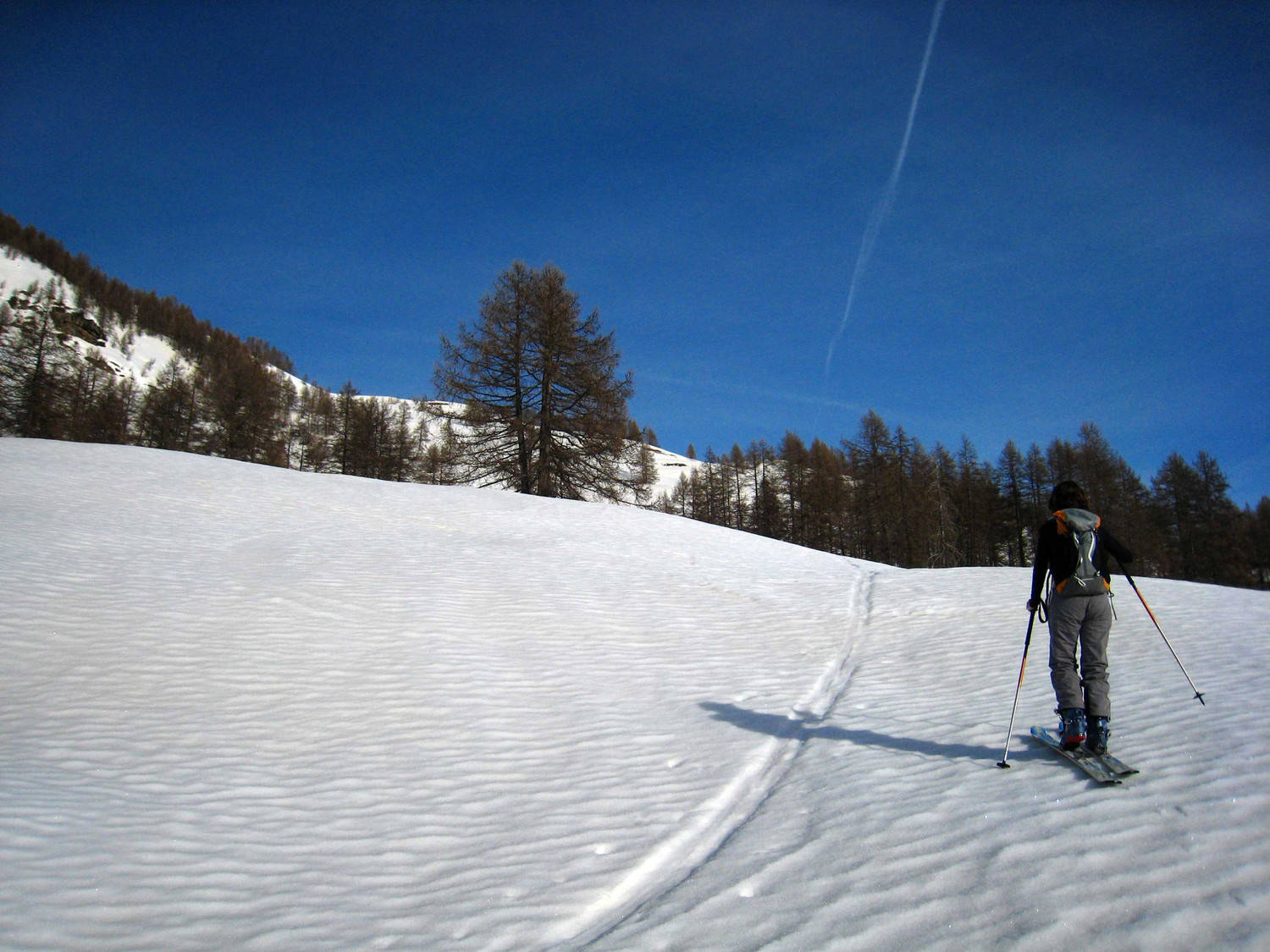 Montée tranquille au-dessus du mélézin