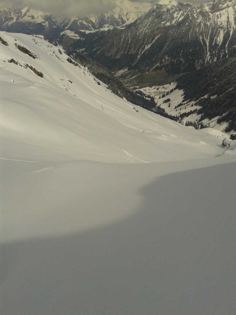 le tarent