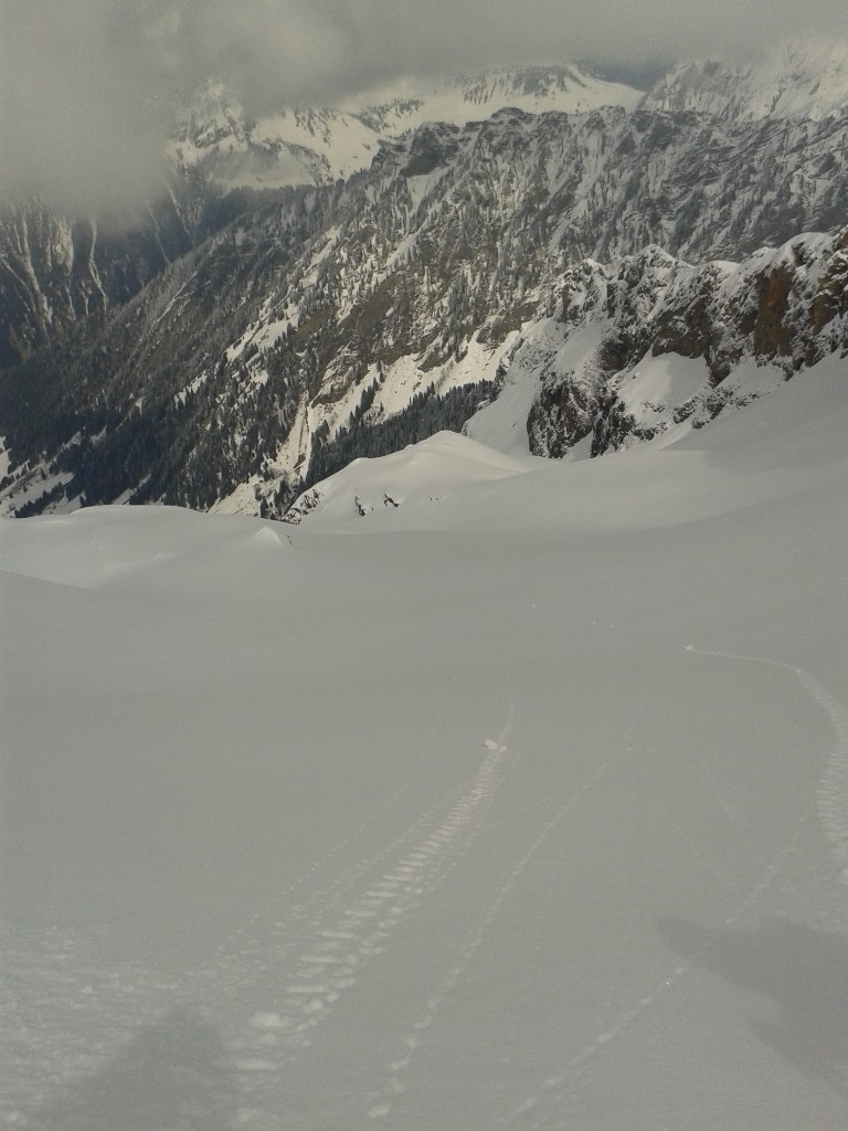 le tarent