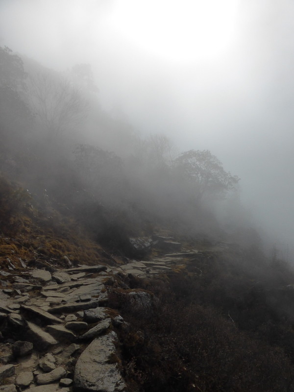 Superbe ambiance un peu avant Thadepati Pass.