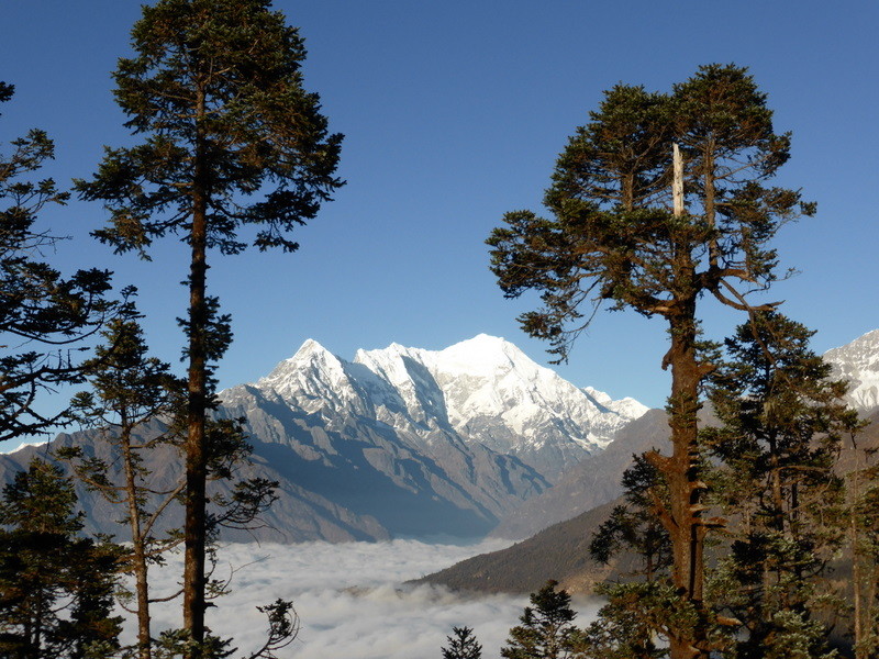 Langtang Lirung depuis Chyolangpati.