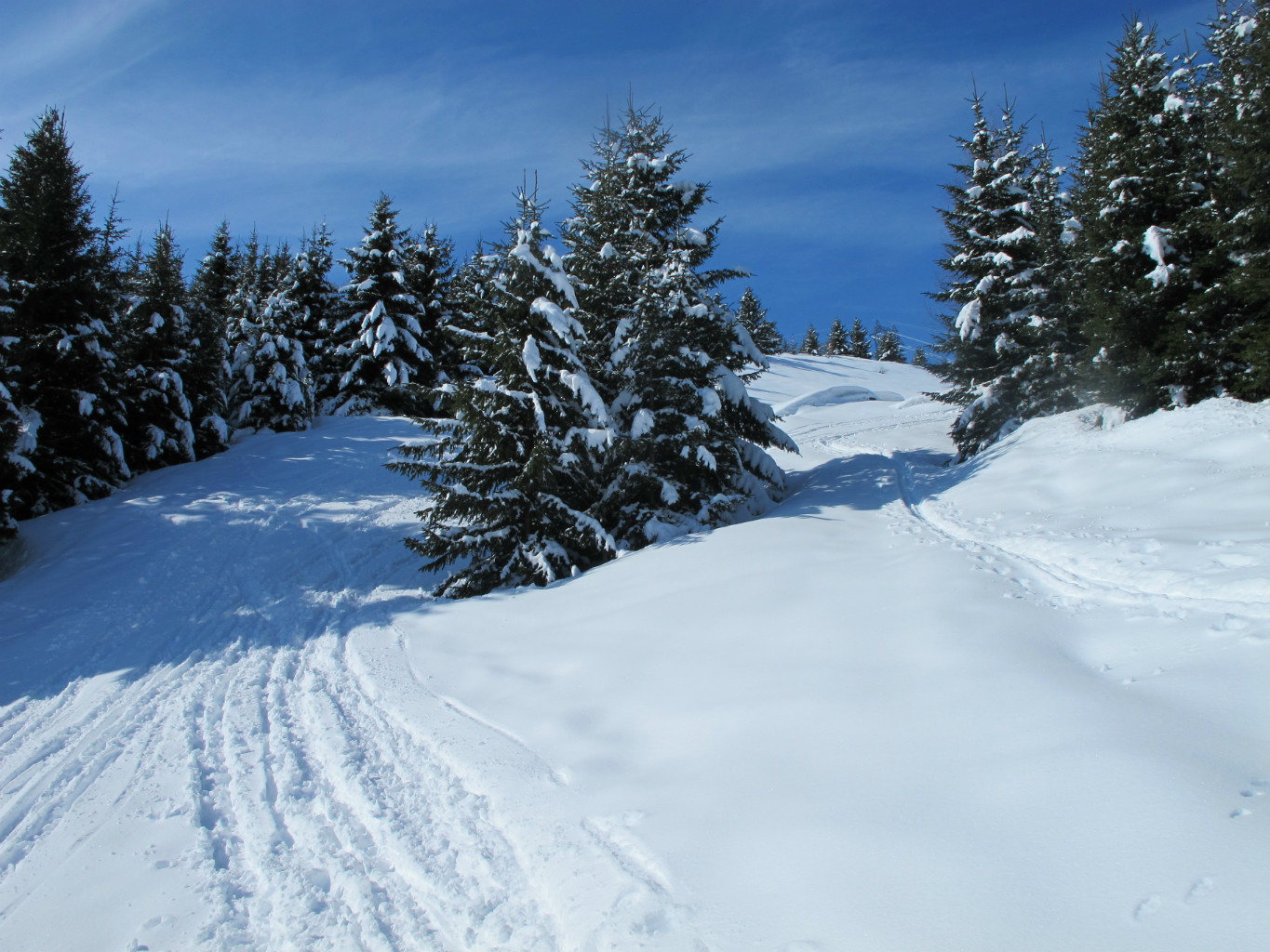 Montée