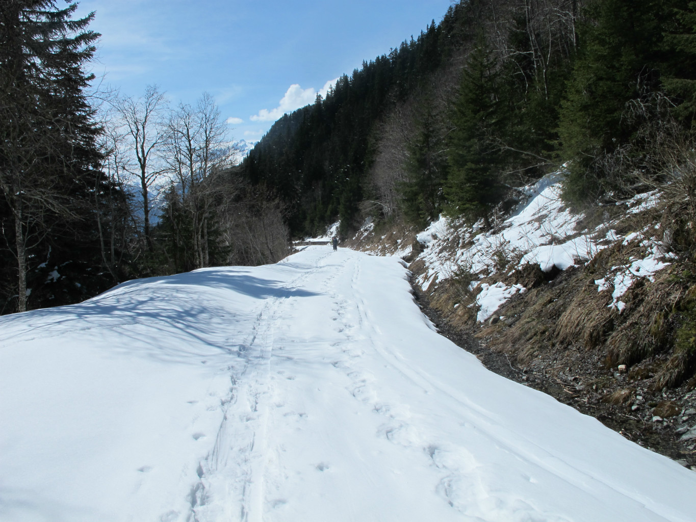 retour sur la piste forestiêre