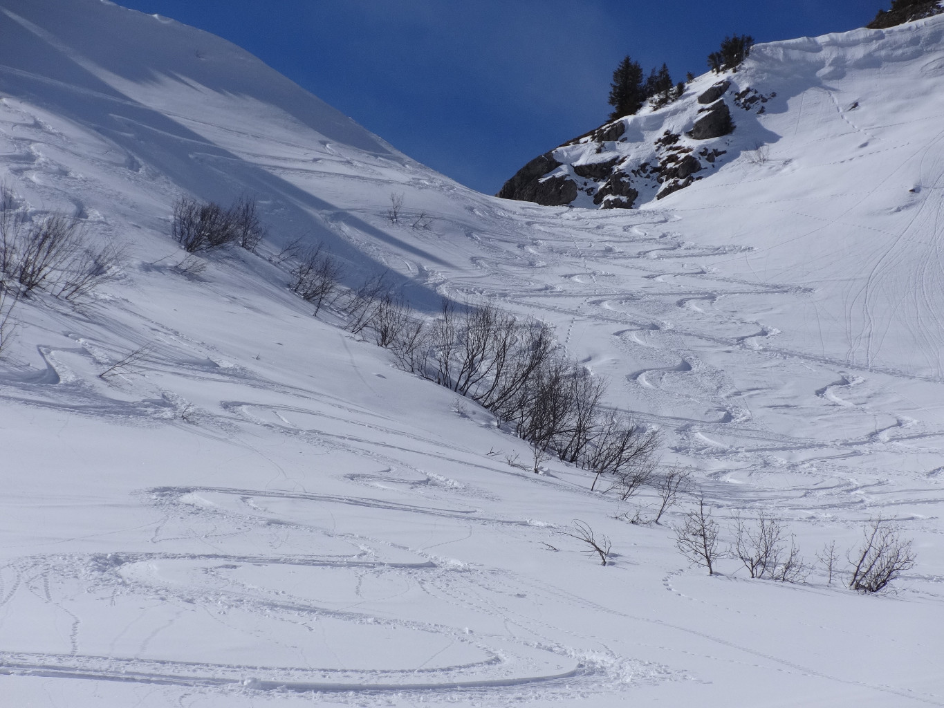 Zone de poudreuse, si, si !