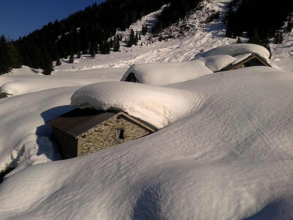 alpe caronno