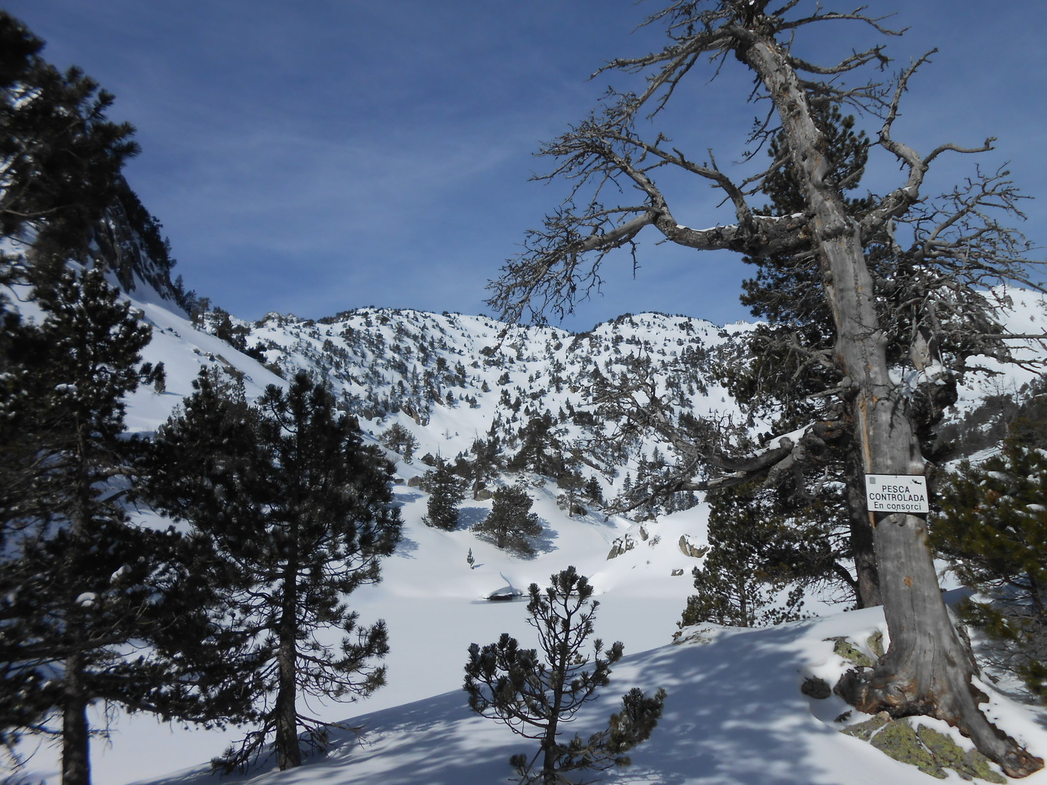 arrivée à l'estany Nègre