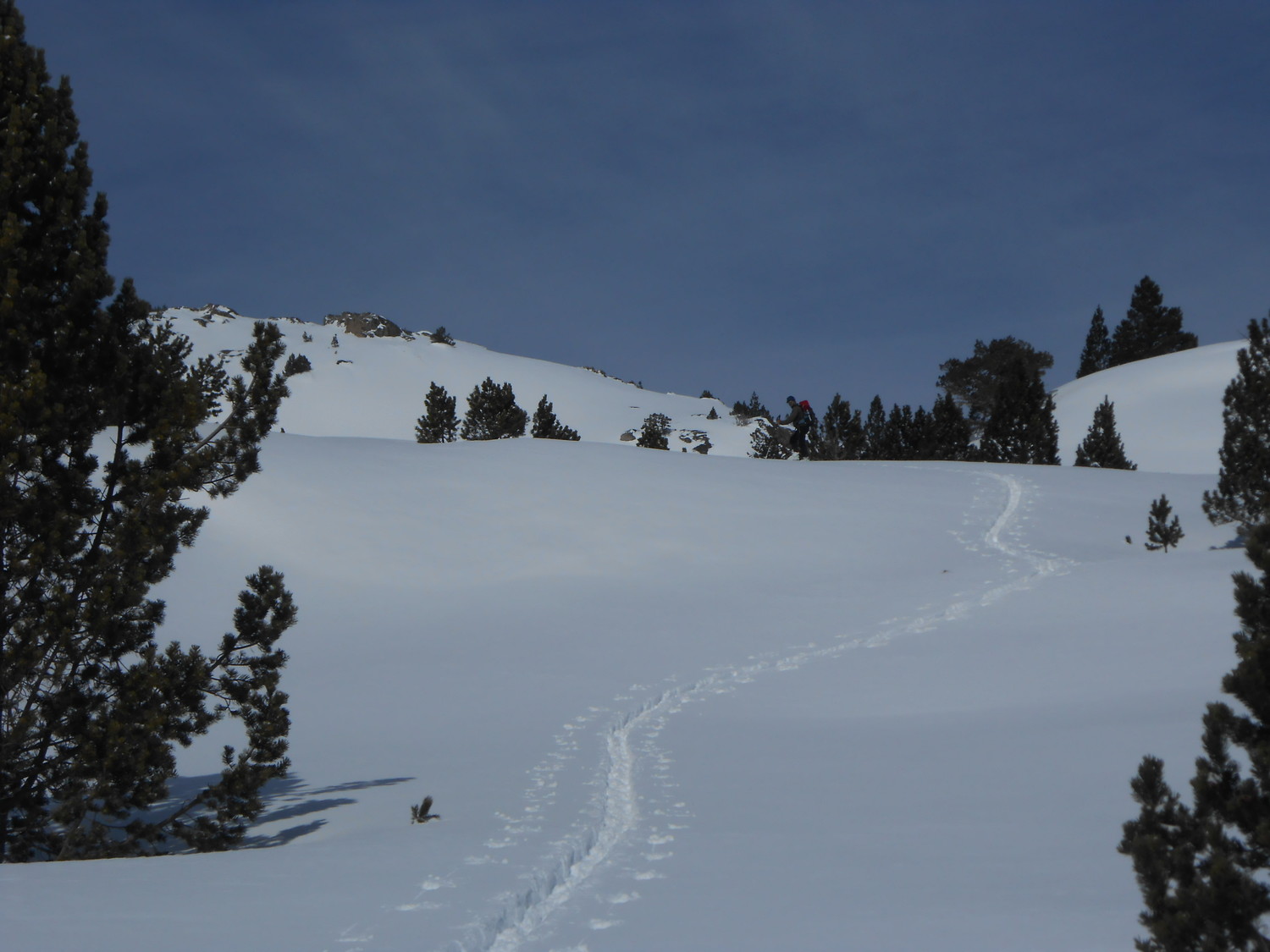 Frédo à la trace en montant à l'estany Bou