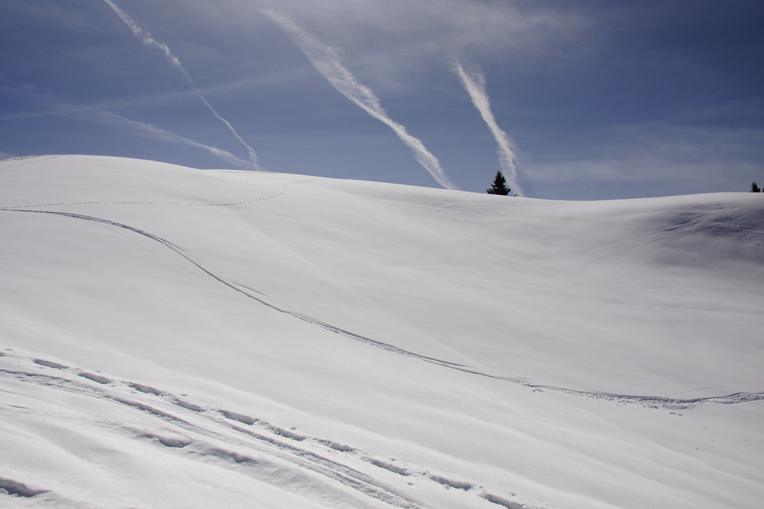 Lot's of virgin snow