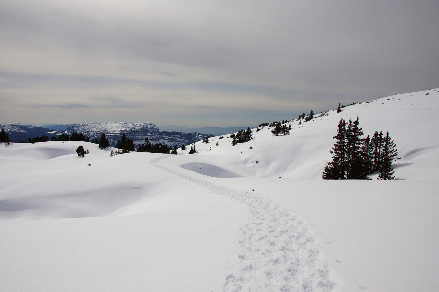 On the way back, following the footprints