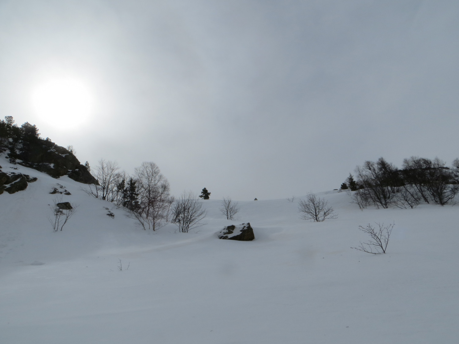 Blizzard