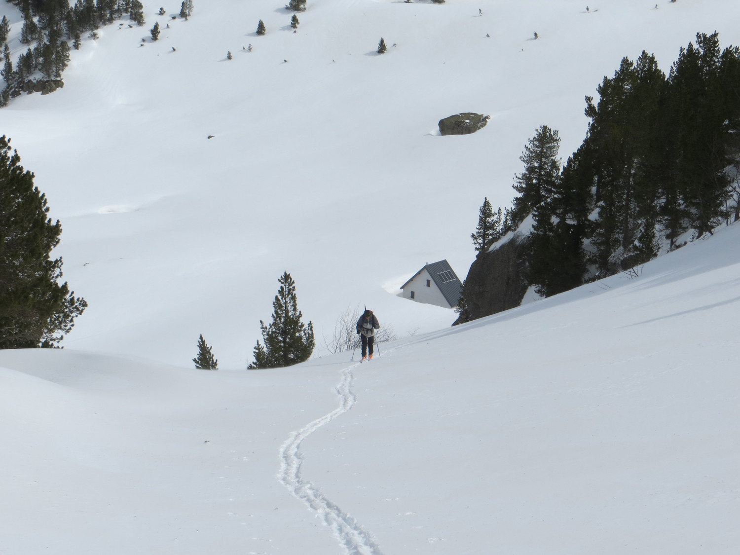 Au dessus de la cabane
