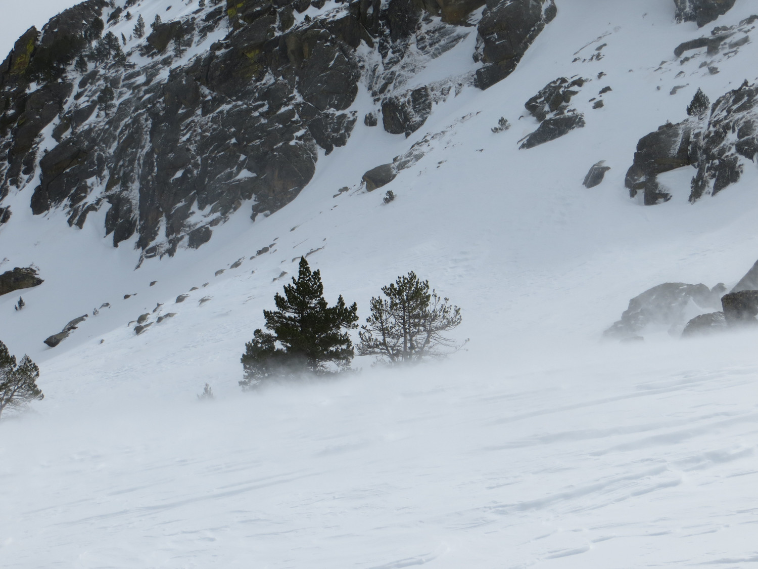 Blizzard