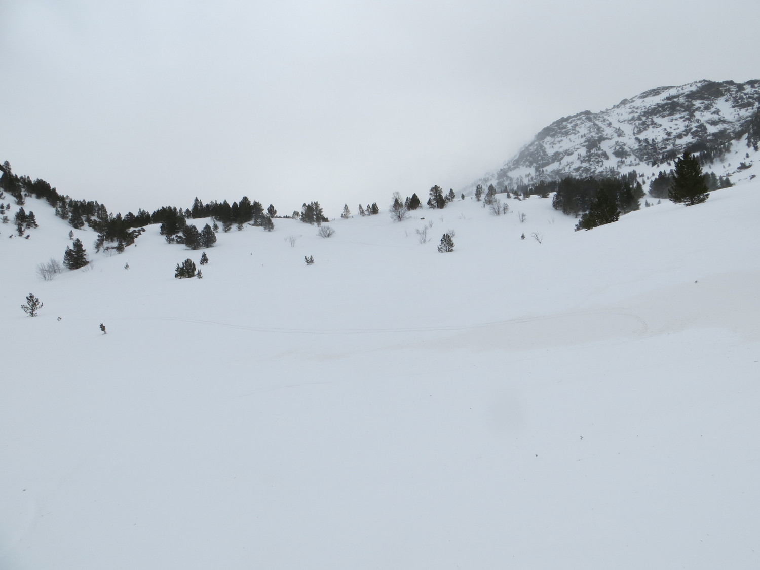 Descente