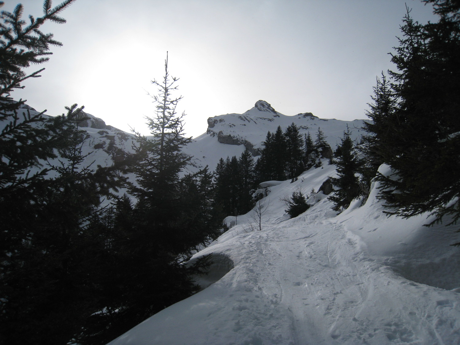 la Goenne vue depuis la piste